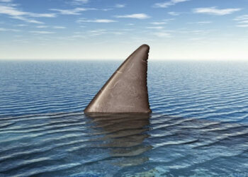 Conheça a história do pior ataque de tubarões de todos os tempos