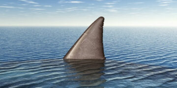 Conheça a história do pior ataque de tubarões de todos os tempos