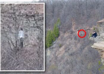“Fantasma” de mulher aparece em foto na floresta e intriga