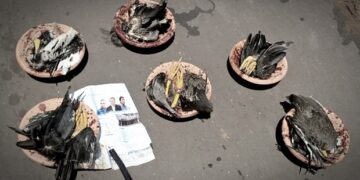 Política macabra: deputados do Piauí são alvo de macumba no Maranhão