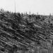 O mistério do Evento de Tunguska, ocorrido em 1908