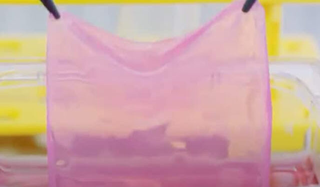 Máquina cria pele para pacientes com queimadura